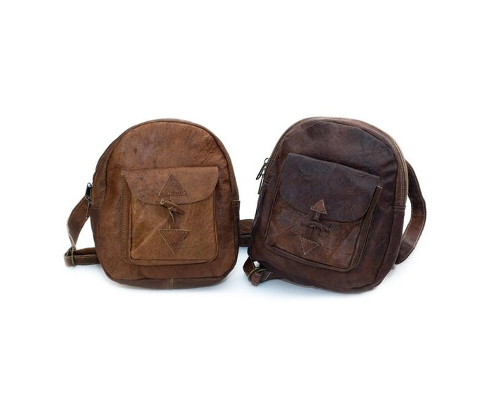 Small Water Buffalo Leather Backpack